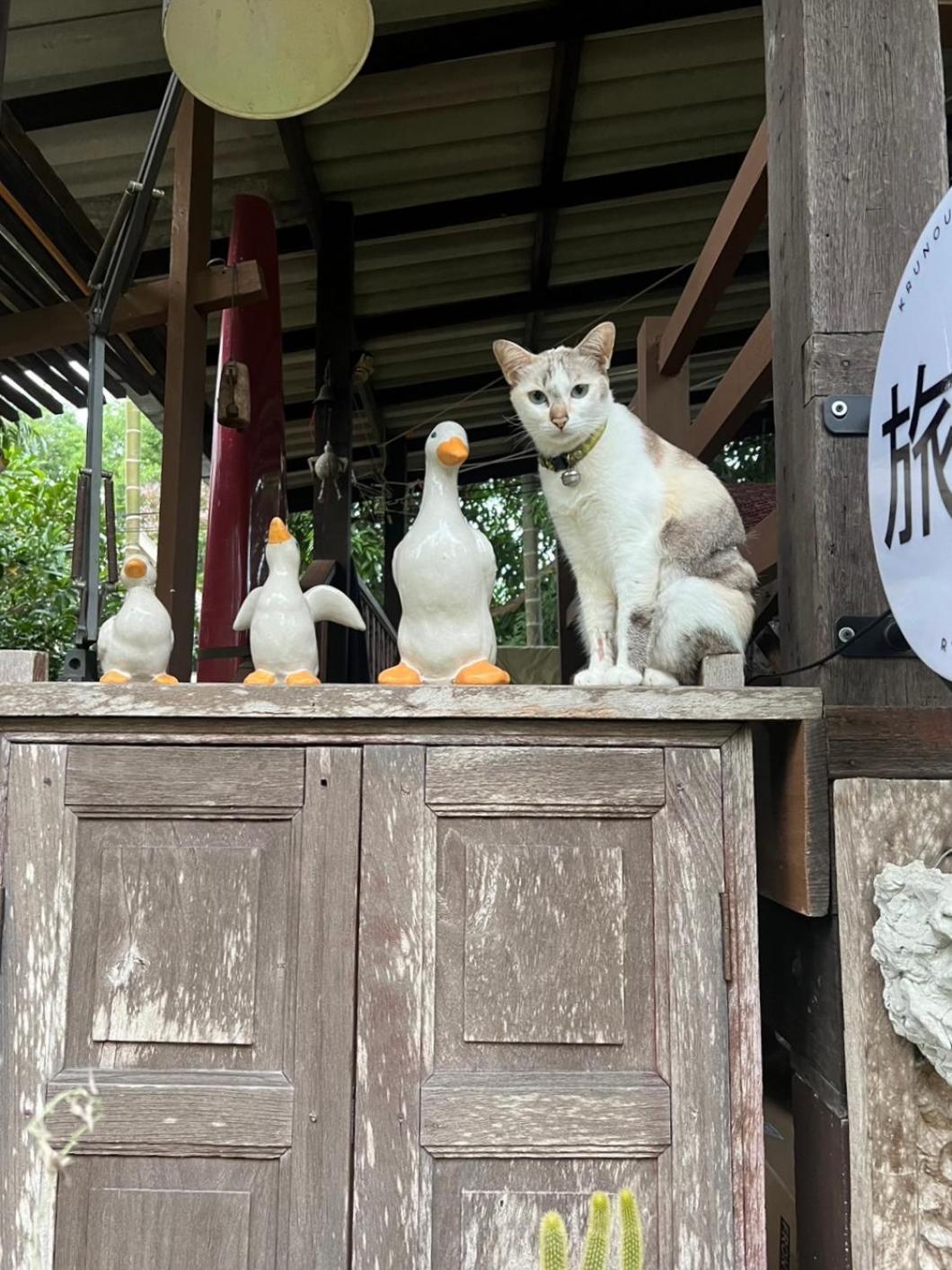 ครูหนูบ้านพัก แหลมงอบ Krunou Baanpak Trat Extérieur photo