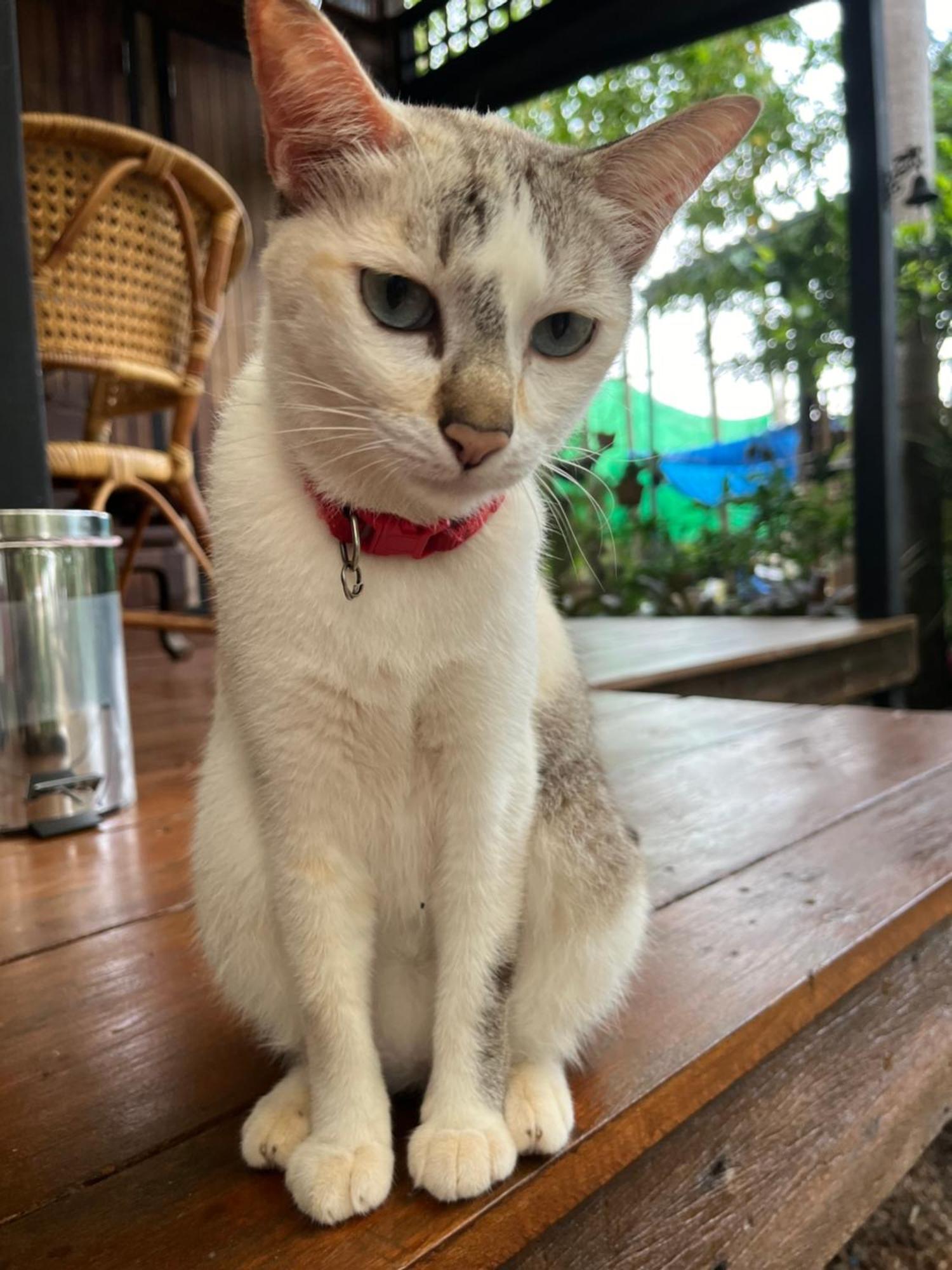 ครูหนูบ้านพัก แหลมงอบ Krunou Baanpak Trat Extérieur photo